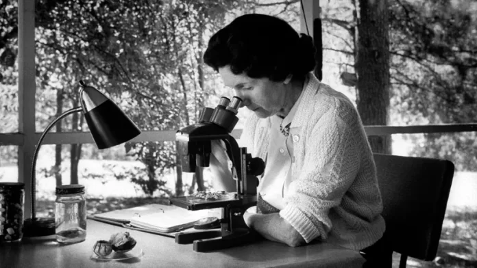 Rachel Carson Biography in Hindi