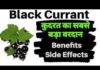 Benefits of Blackcurrants in Hindi
